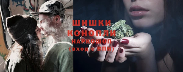 ешки Козловка