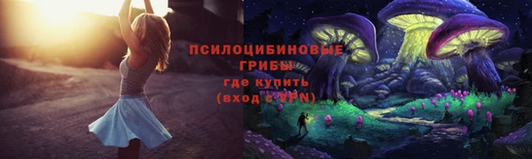 первитин Кодинск