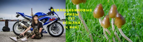 ешки Козловка